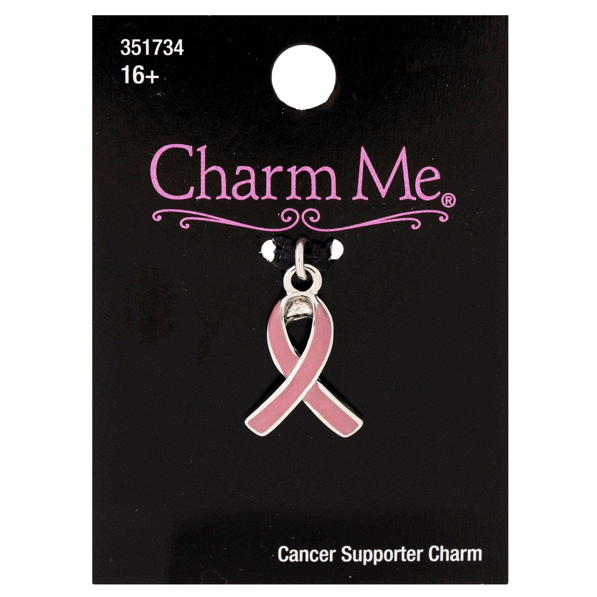 Pink Awareness Ribbon Charm